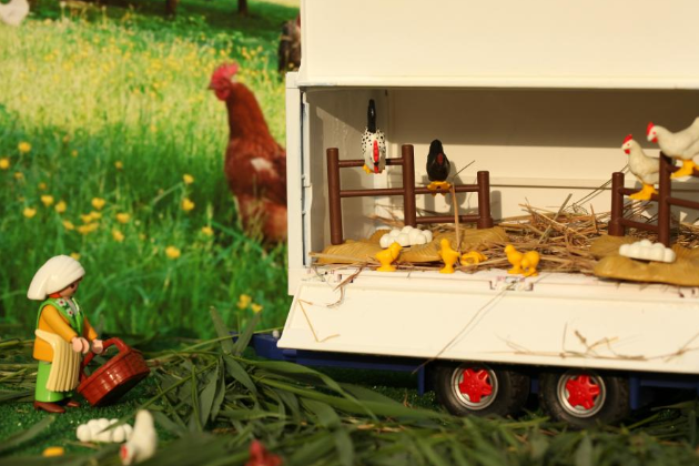 Mobiler Hühnerstall – artgerecht, umweltbewusst, nachhaltig