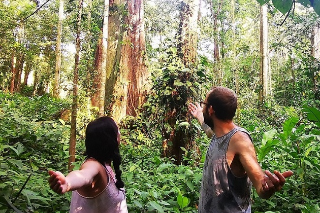 Regenwaldschutz mit nachhaltigen Ökotourismus in Costa Rica