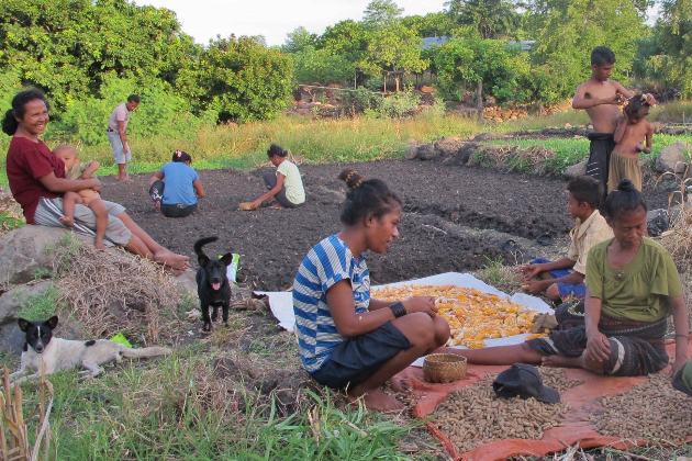 effishent – Aquaponics-Farming für die ländlichen Bergregionen Indonesiens
