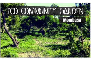 Eco Community Garden Mombasa