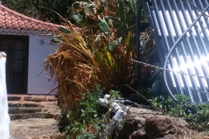 Nachhaltig urlauben, lernen und leben auf der Finca Miguel, Kanareninsel La Palma